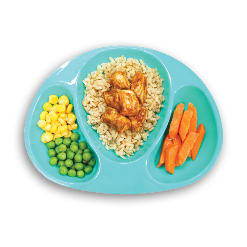 Kids Meals -Teriyaki Chicken