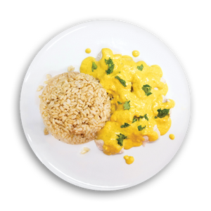 Mango Chicken Curry - Frozen
